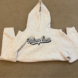 Penn state PSU Nittany lions light gray hoodie